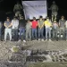 Operativo “Frontera Norte” deja 15 detenidos en Tamaulipas