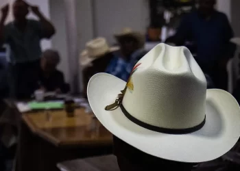 Productores anuncian paro nacional y toma de la Sader