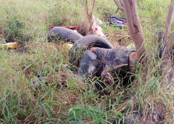 Encuentran cuerpo sin vida en terreno baldío de Prado de Alcalá