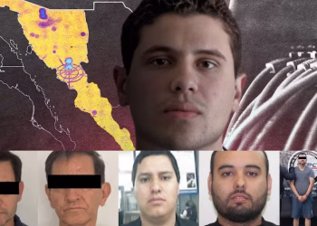 Los Chapitos pierden a cinco operadores clave en solo 72 horas