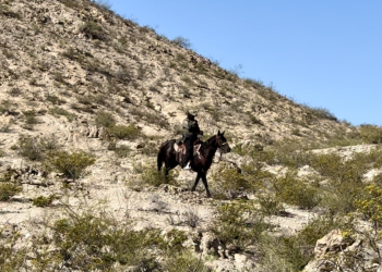 Migrante peruano acusado de agredir a agente de la Patrulla Fronteriza se declarará culpable