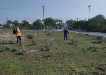 Fomenta Gobierno de Reynosa la convivencia vecinal