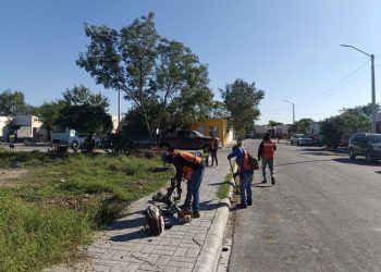 Realiza Gobierno de Reynosa ininterrumpida labor de mantenimiento