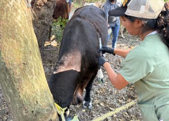 Acción inmediata y coordinación interinstitucional ante caso de GBG en Tamaulipas