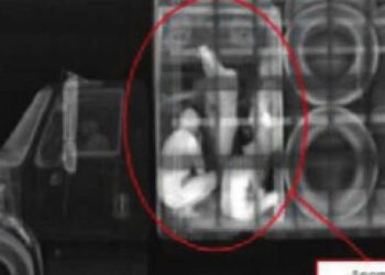 Rayos X descubren a 14 personas ocultas en camión en retén de Texas; detienen a conductora