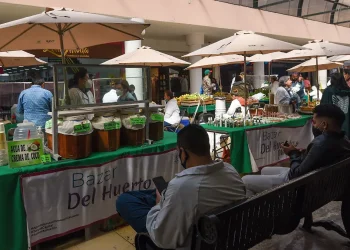 Proponen en México nuevo etiquetado para productos herbolarios y homeopáticos