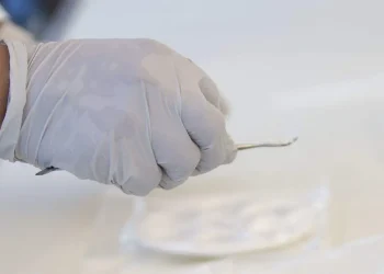 Píldora inteligente se comunica con médicos y detecta alertas tempranas