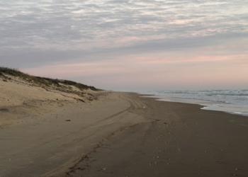 Reapertura de accesos en playas del Condado de Cameron tras alerta por mareas