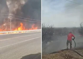 Controlan fuerte incendio forestal en la carretera a Colombia