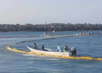 Blindaje ambiental: Instalan barreras en la Laguna de Tamiahua