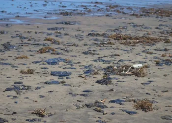 Investigan 7 buques por derrame en el Golfo; presentan denuncia penal ante la FGR