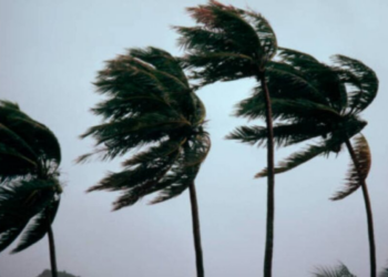 “Norte Explosivo” azota el sur de Tamaulipas: ráfagas de 120 km/h causan graves daños