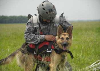 Blindan la CDMX con nuevos binomios caninos de cara al Mundial 2026