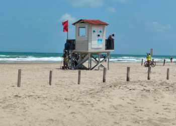 Fortalece Tamaulipas vigilancia ambiental ante presencia de hidrocarburos en costas de la zona sur