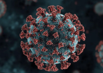 ‘Cigarra’: Lo que debes saber sobre la nueva variante de COVID-19