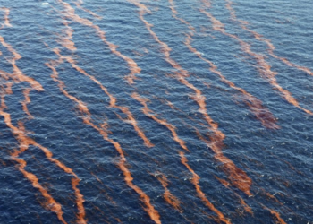 Emergencia en el Golfo: Marina recolecta más de 6 toneladas de petróleo en playas de Tamaulipas