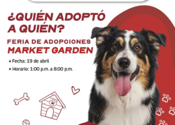 ¡Dale una segunda oportunidad a un amigo fiel! Gobierno de Reynosa invita a la Feria de Adopciones