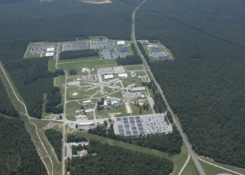 Nido de avispas radiactivo en planta nuclear de Carolina del Sur