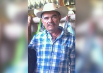 Asesinan en Michoacán a Roberto Chávez, activista que combatía la tala ilegal