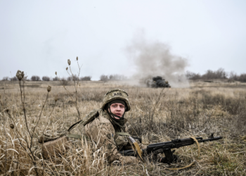 ¿‘Donnylandia’?