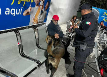 Con más de tres mil acciones operativas y de proximidad, el Agrupamiento Canino de la Guardia Estatal fortalece la prevención y combate al delito en Tamaulipas