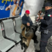 Con más de tres mil acciones operativas y de proximidad, el Agrupamiento Canino de la Guardia Estatal fortalece la prevención y combate al delito en Tamaulipas