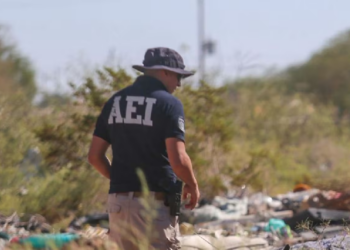 Los narcos siguen cayendo