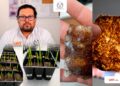UAT patenta bioplásticos degradables para restaurar suelos erosionados y combatir la sequía