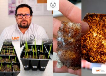 UAT patenta bioplásticos degradables para restaurar suelos erosionados y combatir la sequía