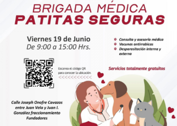 Gobierno de Reynosa anuncia la Brigada Veterinaria “Patitas Seguras”