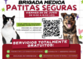 Gobierno de Reynosa lanza Brigada Médica “Patitas Seguras” llega hoy a la colonia 10 de Mayo