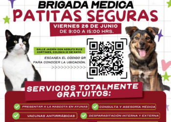Gobierno de Reynosa lanza Brigada Médica “Patitas Seguras” llega hoy a la colonia 10 de Mayo