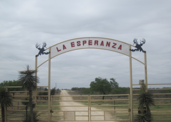 Nuevo saqueo en rancho del condado de Webb