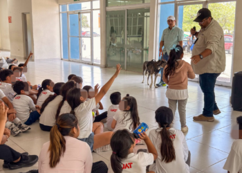 Gobierno de Reynosa promueve el bienestar animal