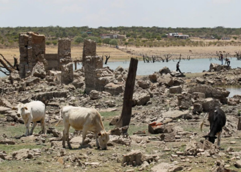 La canícula dispara el riesgo de golpes de calor