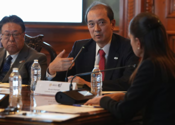 Viene inversión japonesa
