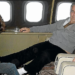 Epstein y JP Morgan