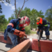 Gobierno de Reynosa construye nueva infraestructura peatonal