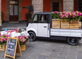 Conoce el auto eléctrico mexicano de bajo costo