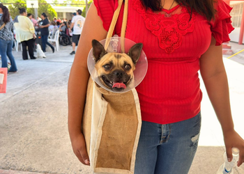Gobierno de Reynosa brinda veterinarios gratuitos