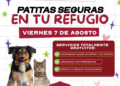 Gobierno de Reynosa promueve salud de las mascotas