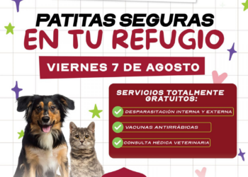 Gobierno de Reynosa promueve salud de las mascotas