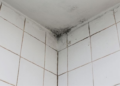 Cuida tu baño de la humedad