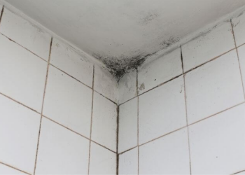 Cuida tu baño de la humedad