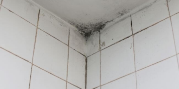 Cuida tu baño de la humedad