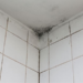 Cuida tu baño de la humedad