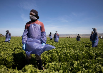 El mercado de trabajo en Estados Unidos sufre un decrecimiento