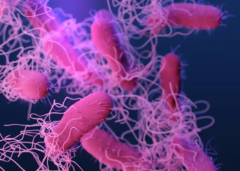 Brote de salmonella en Nuevo León