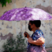 Ola de calor extrema impacta a los dos Laredos