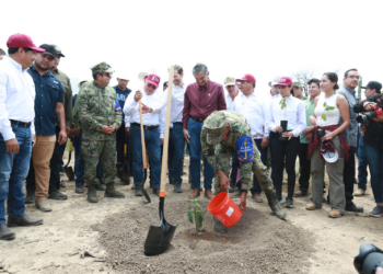 Gobierno de Tamaulipas se suma a la Jornada Nacional de Reforestación 2026